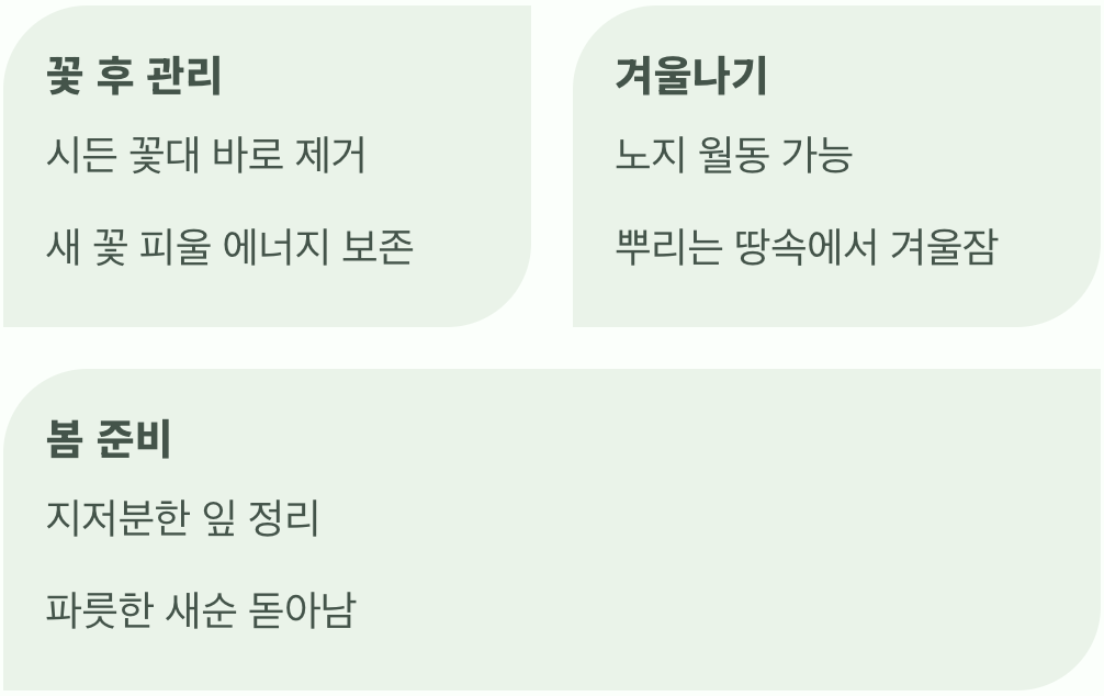 다음 해의 꽃을 위한 준비
