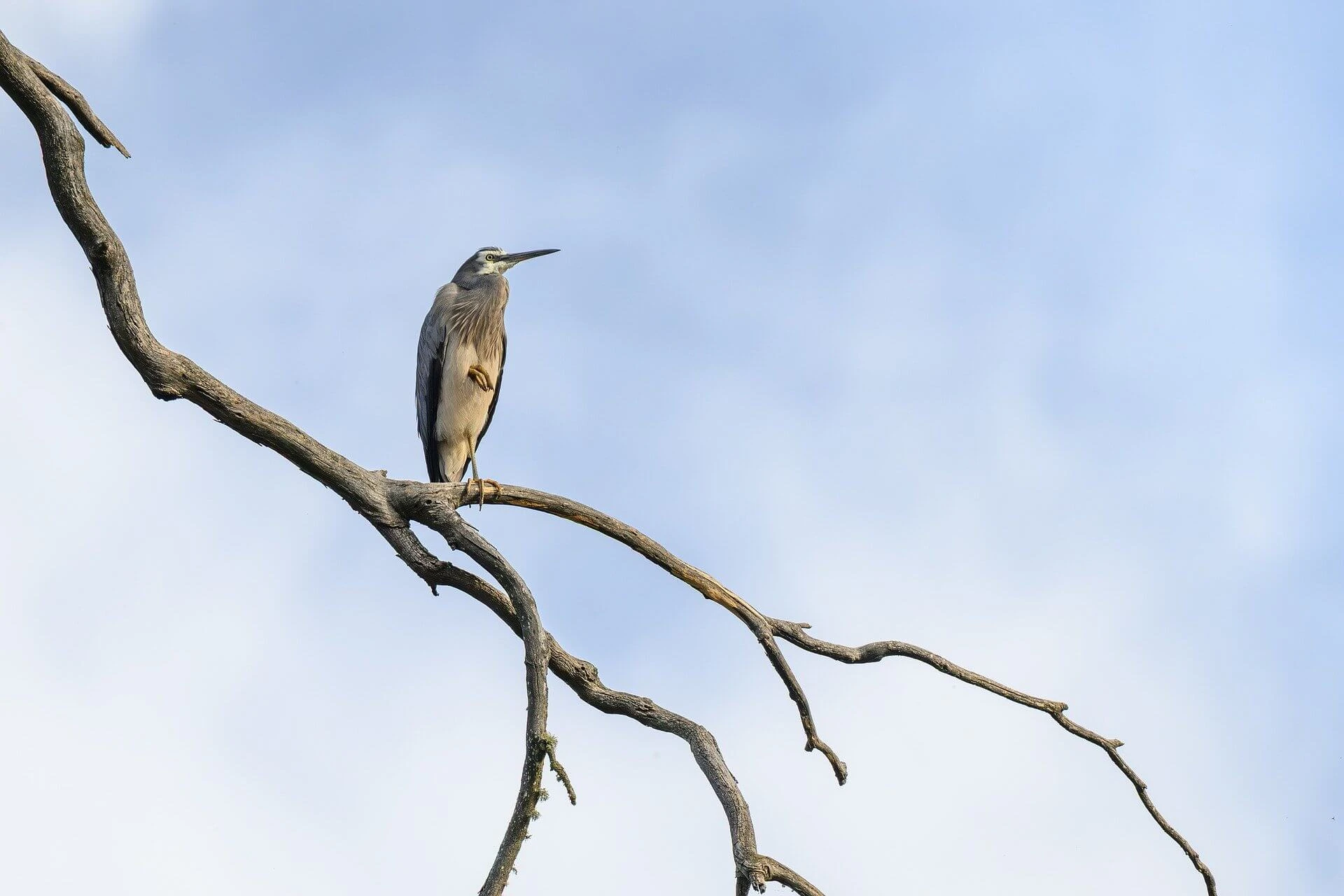 청소년기 디지털 사용과 뇌 발달의 비대칭성