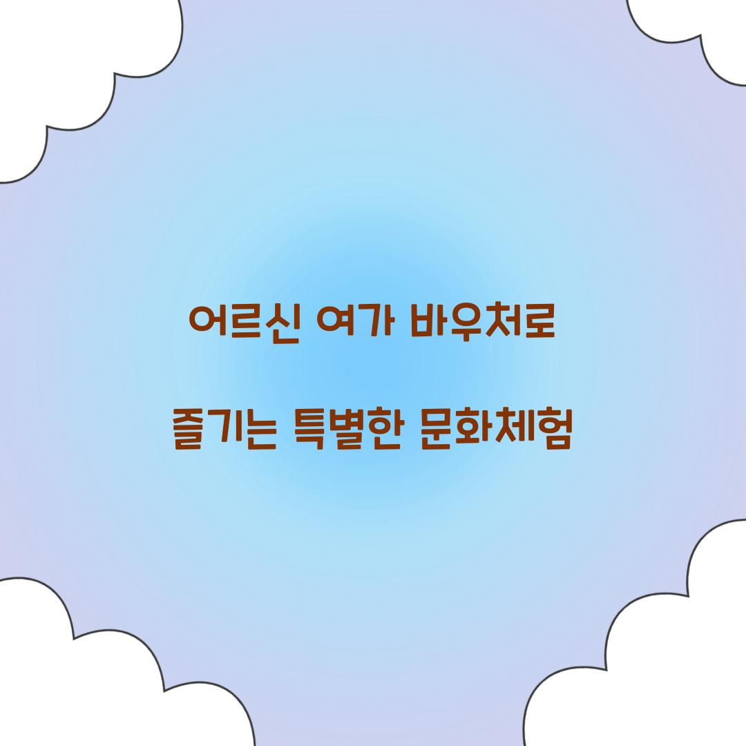 어르신 여가 바우처