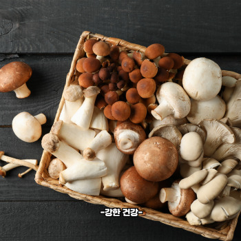 비타민b3 음식 종류