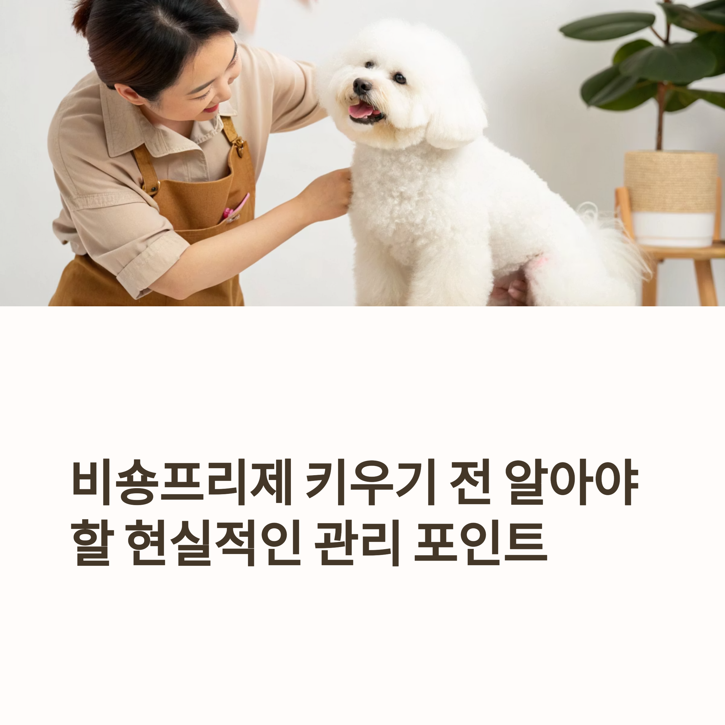 비숑프리제 키우기 전 알아야 할 현실적인 관리 포인트