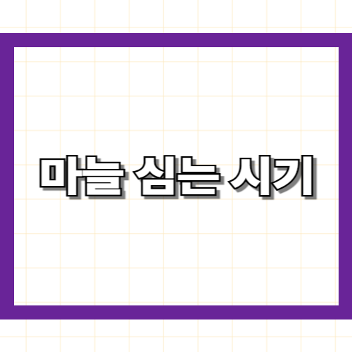 마늘 심는 시기