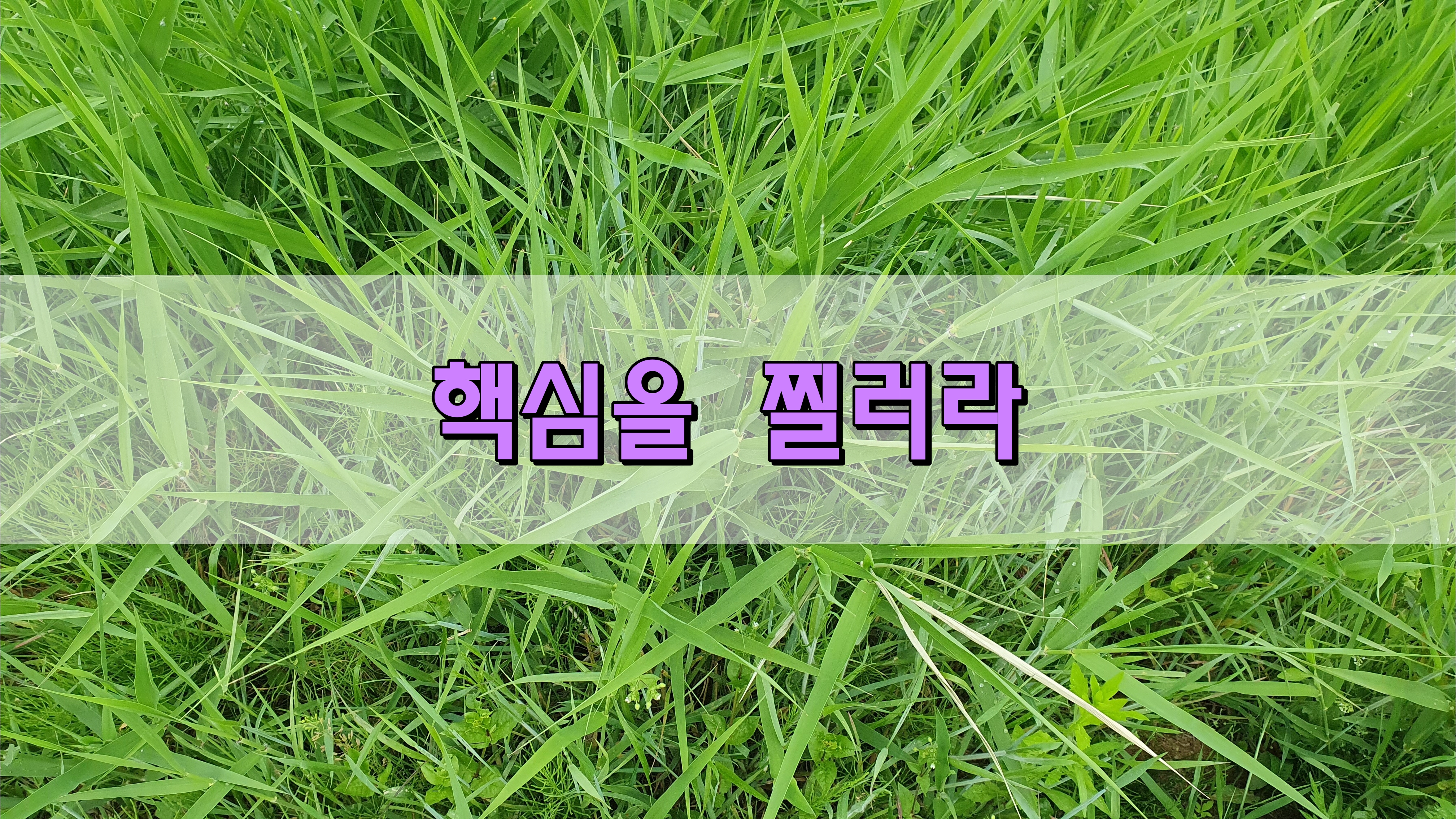 핵심을 찔러라