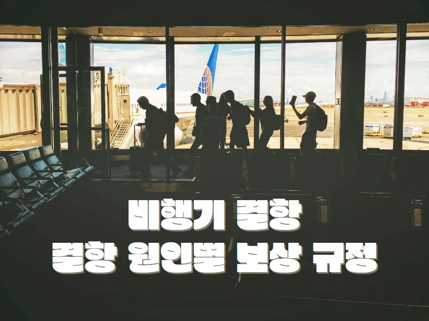 왜 항공편이 결항될까요 결항 원인별 보상 규정 분석