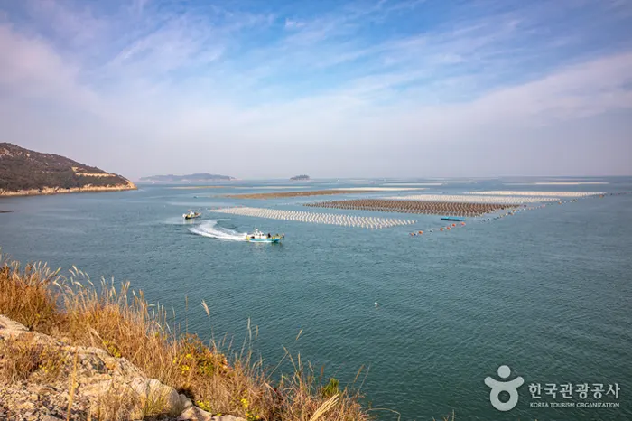 선유도 해수욕장 전경 이미지