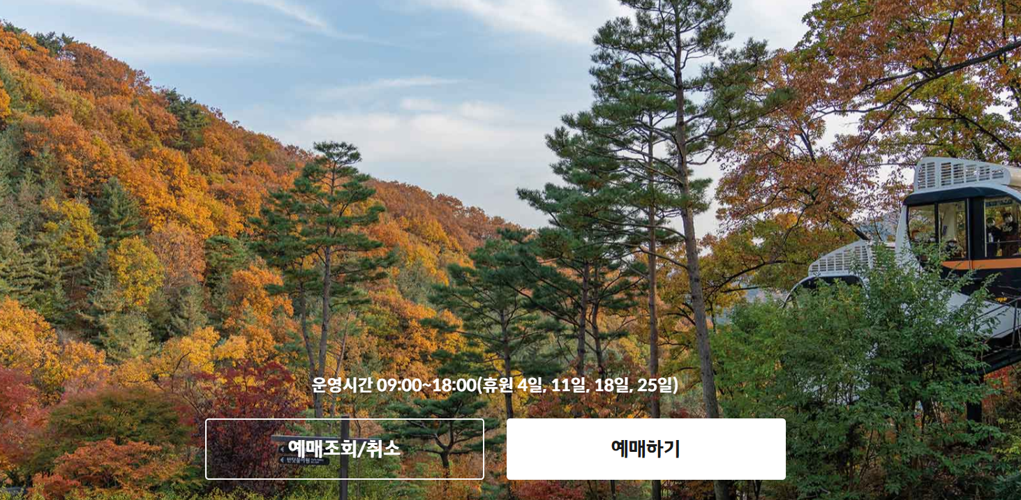 화담숲 예약, 모노레일 예약 (온라인 간편예약)