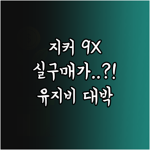 지커 9X 국내 도입 시 최종 실구매..