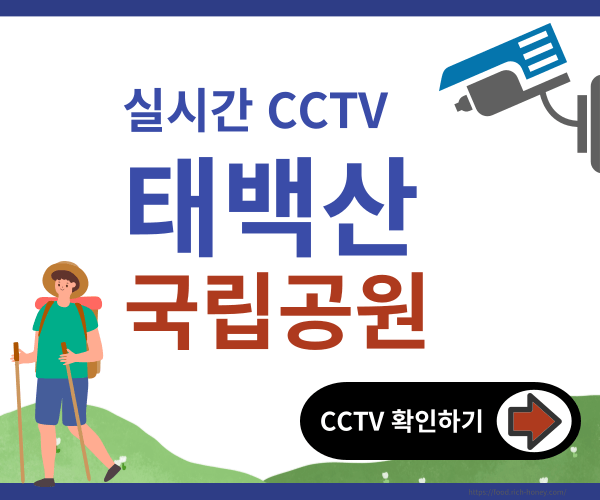 태백산cctv