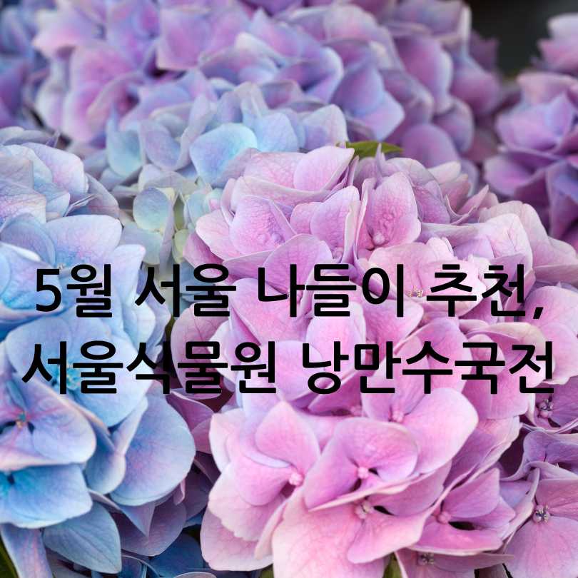 서울식물원 낭만수국전