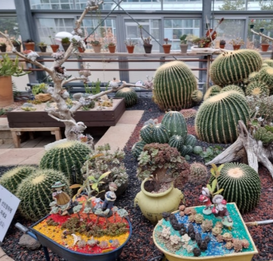 대전 가볼만한곳 베스트10