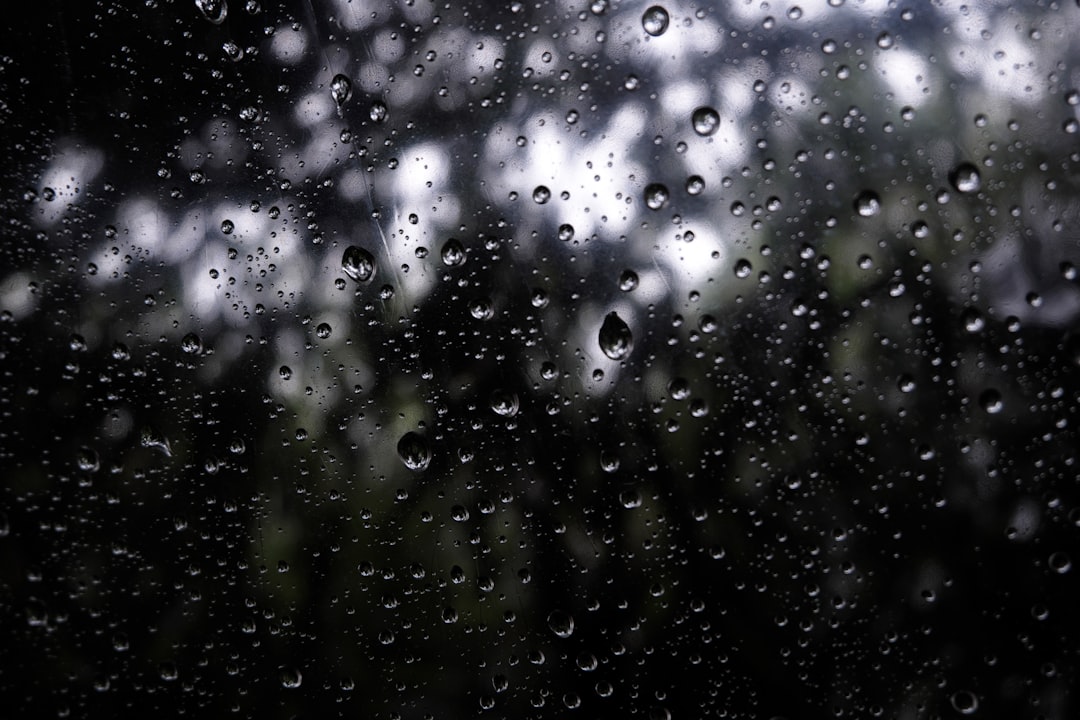 Rain.