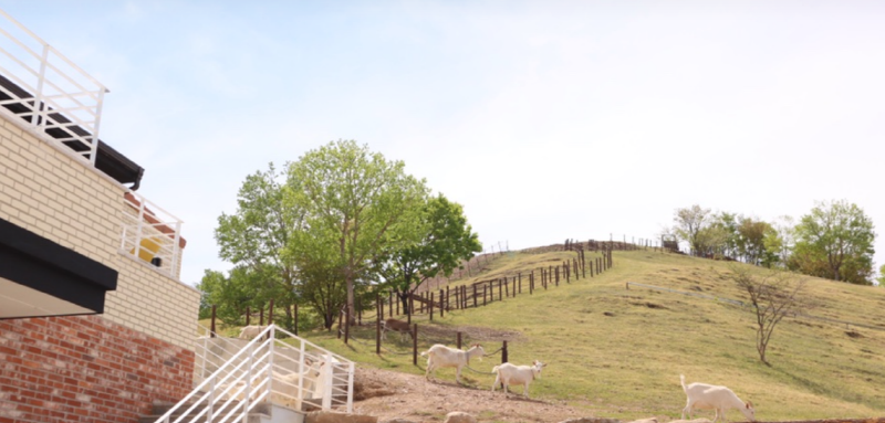 몽토랑 산양목장