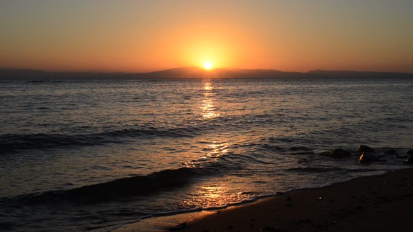 트래블 버블 뜻