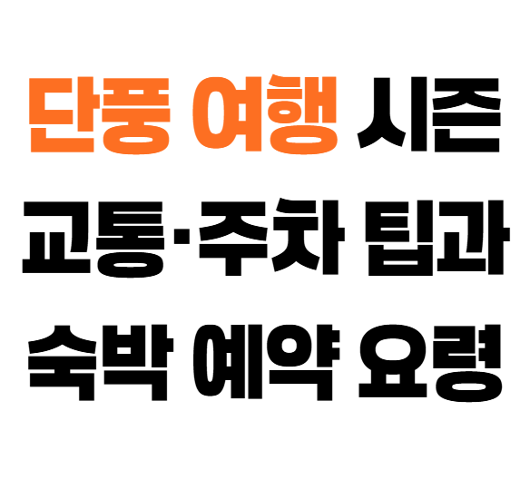 단풍 여행 시즌 교통·주차 팁과 숙박 예약 요령