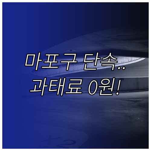 마포구 자동차 주정차 단속 알림 서비..
