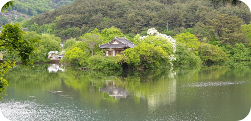 밀양 위양지 완재정(翫在亭)
