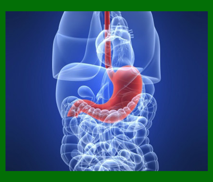 녹색변 대처방법 - 정말김사를 통한 내시경검사