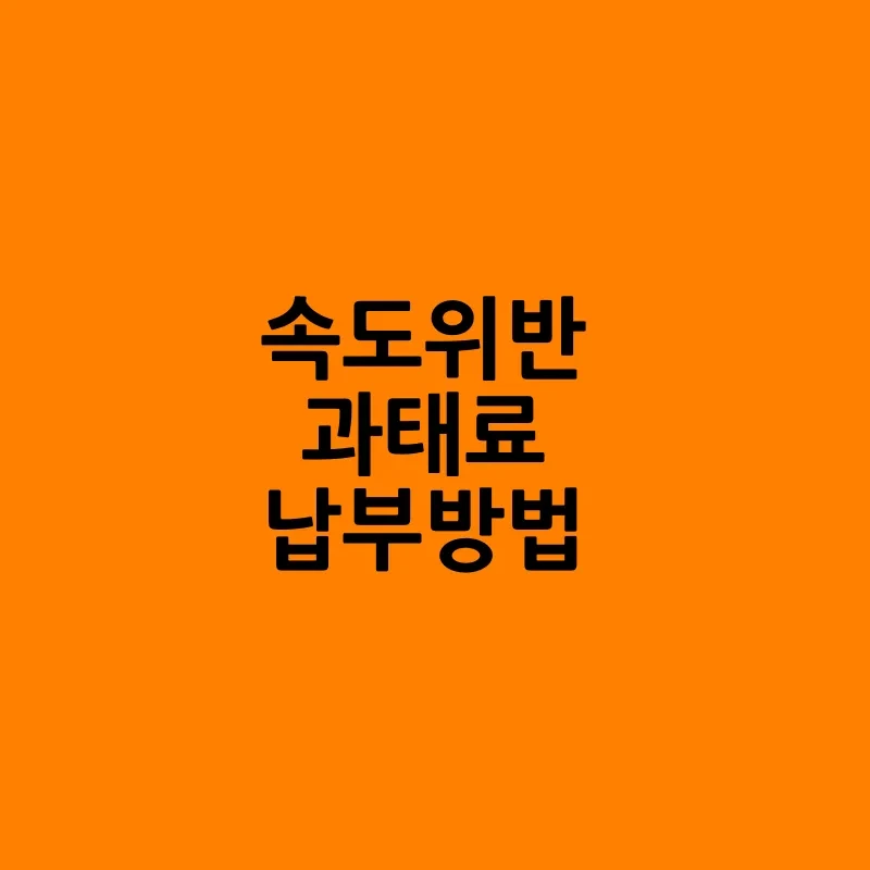 속도위반 실시간 조회