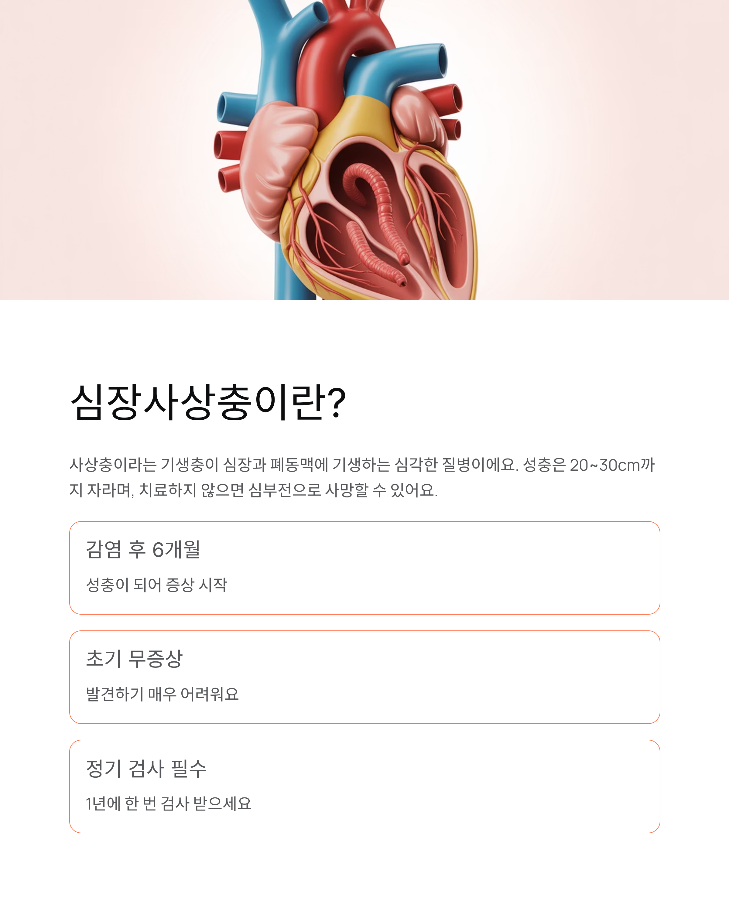 강아지 심장사상충 ❤️ 증상·예방약·치료 완벽 가이드!