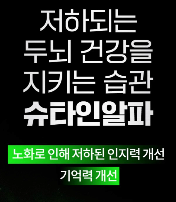 브레인랩 슈타인알파 영양제