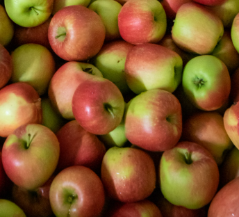 사과의 효능과 부작용 권장량