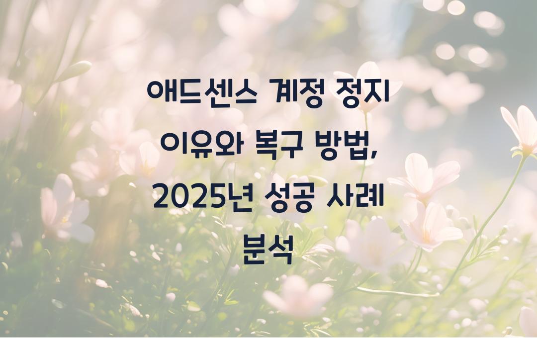 애드센스 계정이 정지된 이유와 해결 방법 (복구 성공 사례 포함)