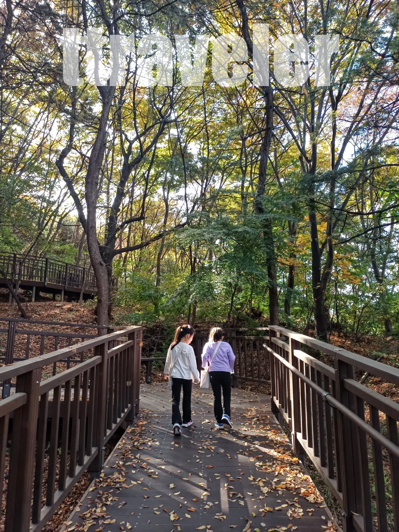 무장애숲길-데크에서-걷고있는-아이둘