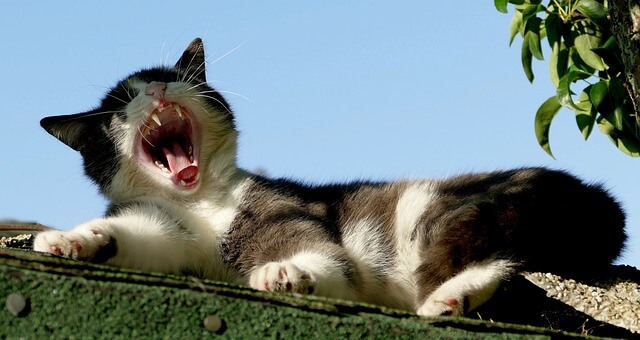 불면을 이기는 운동 습관, 숙면을 부르는 3가지 방법