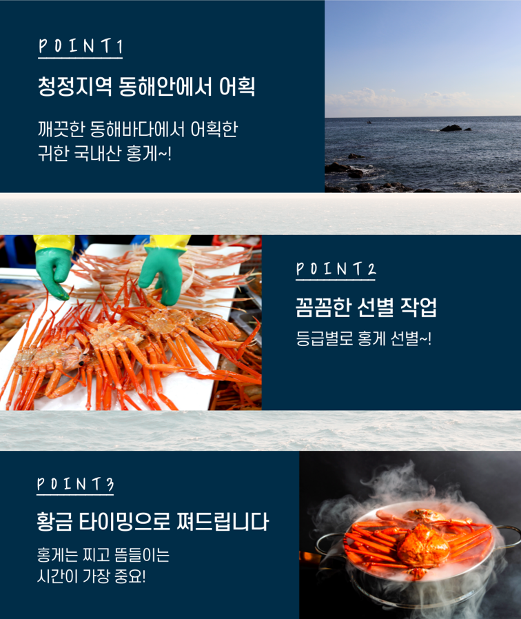 자숙홍게 작업