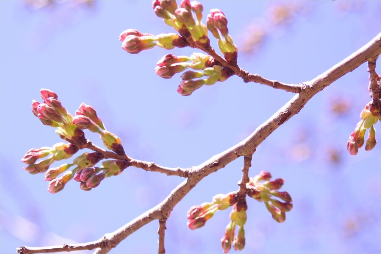 저축은행 정기예금 금리비교