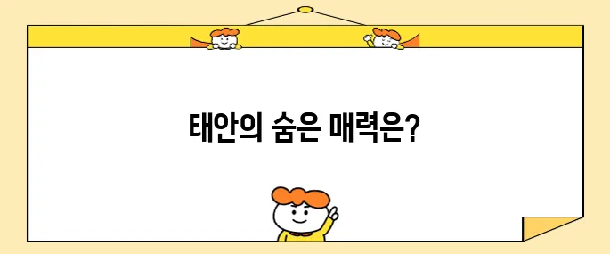 태안에서 반드시 방문해야 할 최고의 10곳