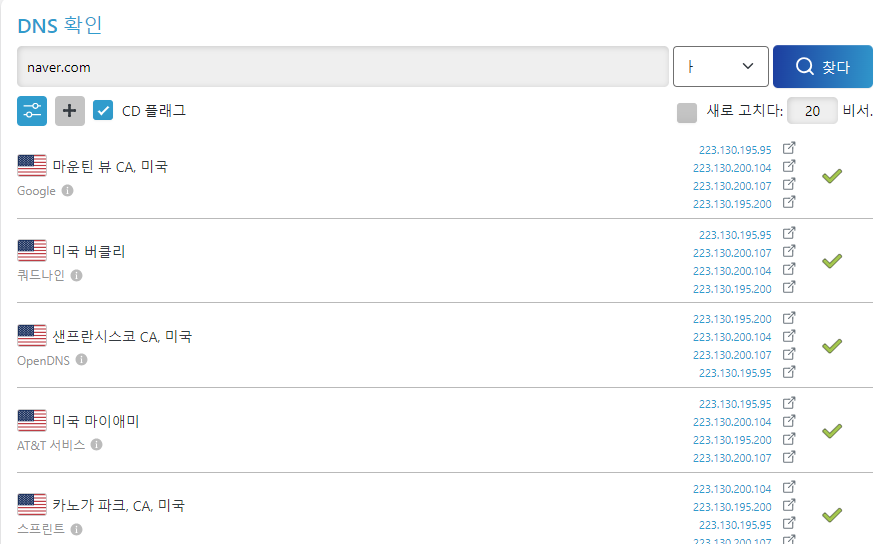 dns 확인 사이트