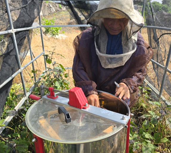 제주아이비타허니연구소 송악꽃꿀