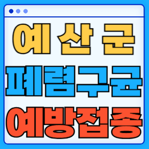 충청남도 예산군 폐렴구균 백신 무료 예방접종 비용지원 가격 신청방법 대상자 간격 13가 15가 20가 23가