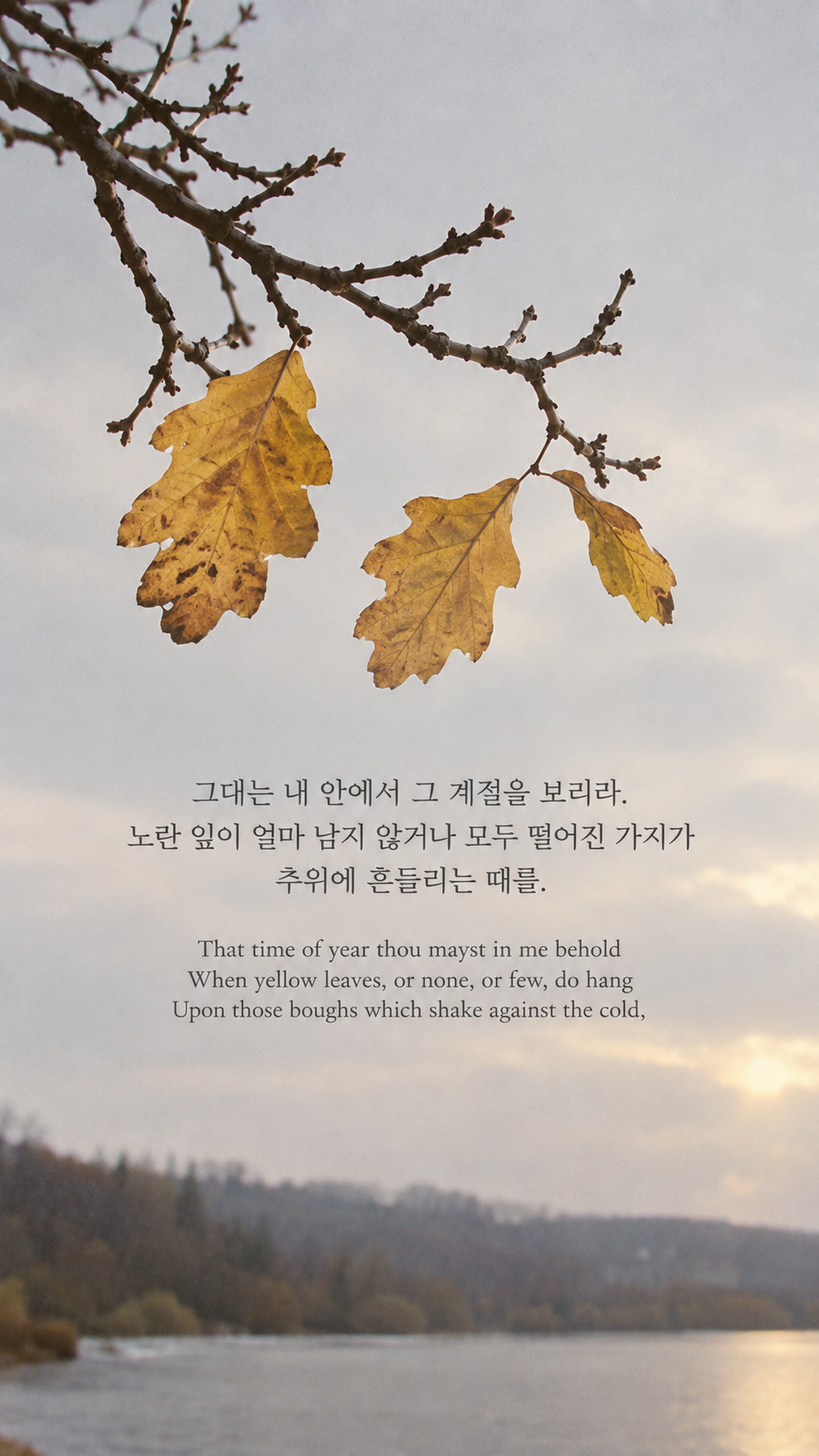 윌리엄 셰익스피어의 늦가을의 시간에 관한 가을 글귀 &mdash; 한글과 영어 원문을 담은 아날로그 필름 사진