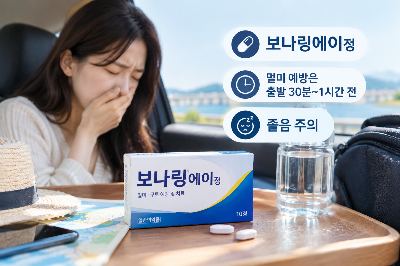 보나링에이정 멀미약 효과와 복용법, 부작용 및 주의사항