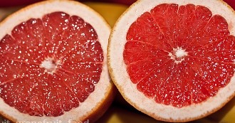 올팜 맞팜 친구 맺기