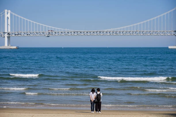 부산 광안리 해수욕장 개장 및 편의시설 정보