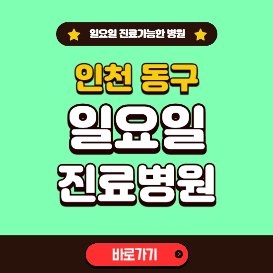 인천 동구 일요일 진료 가능한 병원 ❘ 주말 문여는 곳 총정리 (소아과, 내과, 안과, 치과, 피부과, 정형외과, 산부인과)