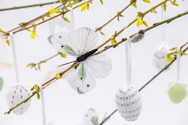 강진 수국길축제 일정 초대가수 강진 여행 2025 완벽 가이드_4