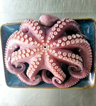 문어 삶는법 문어 요리 레시피_17