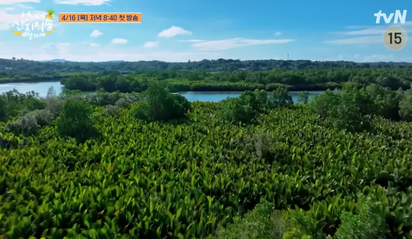 언니네 산지직송3