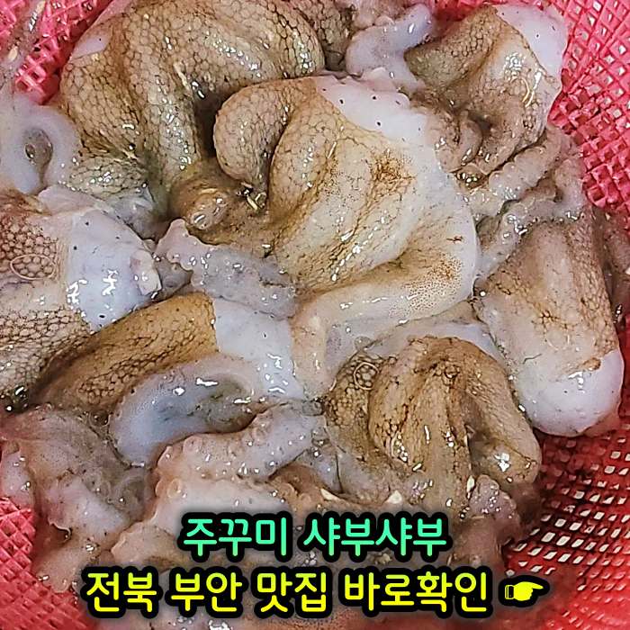 TJB 생방송투데이 부안 곰소 주꾸미 샤부샤부 맛집