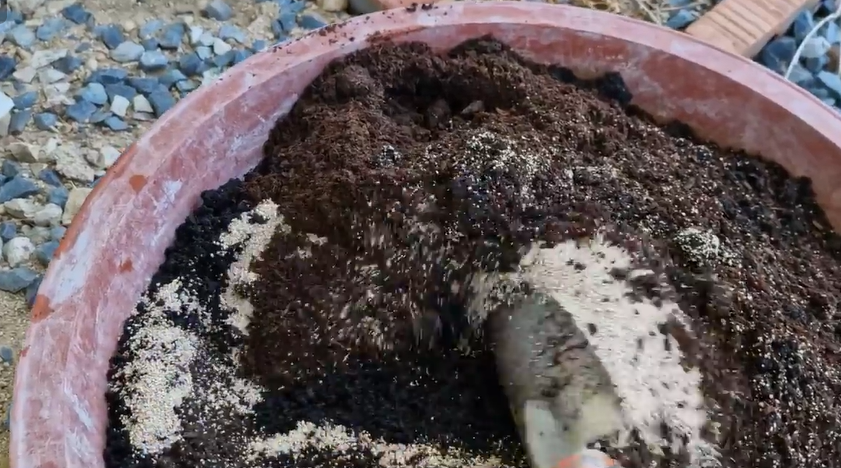 충가드 수화제 내돈내산 효과