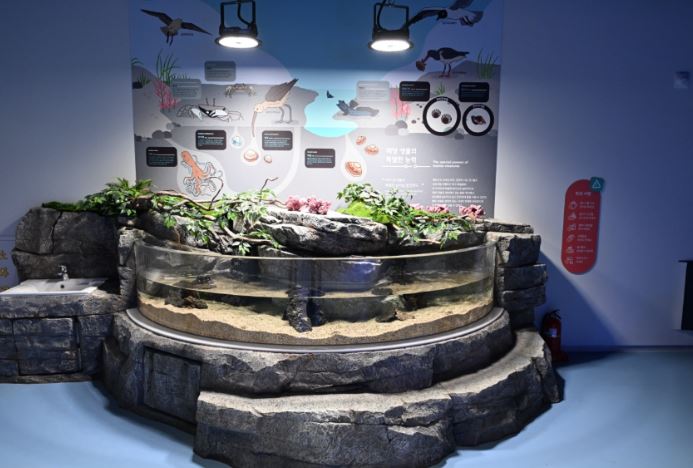 시흥 거북섬 해양생태과학관
