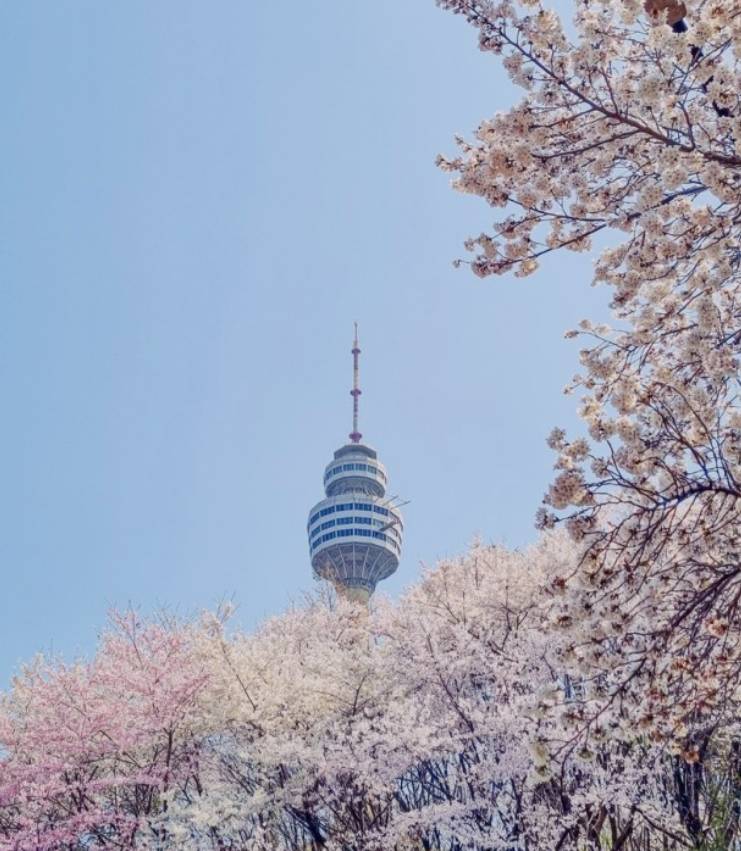 2023년 이월드 블라썸 피크닉 벚꽃 축제 정보 (2023년 벚꽃축제&amp;#44; 지역축제&amp;#44; 3월축제)&amp;#44; 83타워&amp;#44; 이월드 벚꽃축제 일정&amp;#44; 추자정보&amp;#44; 요금