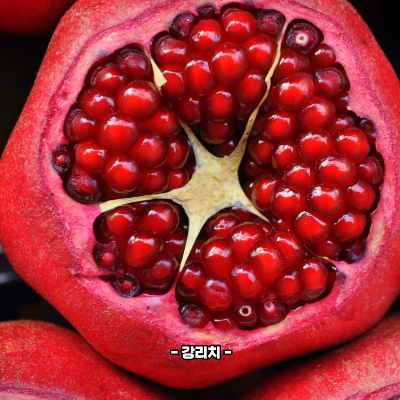 석류 영양성분