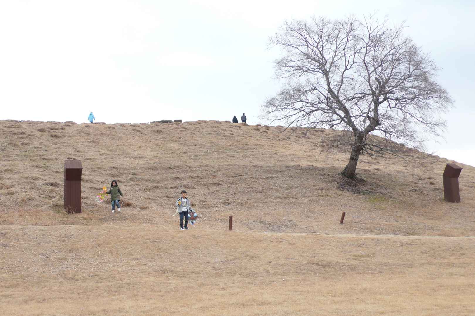 대성동고분박물관