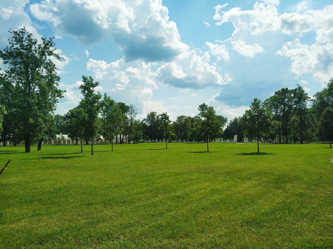 Park.