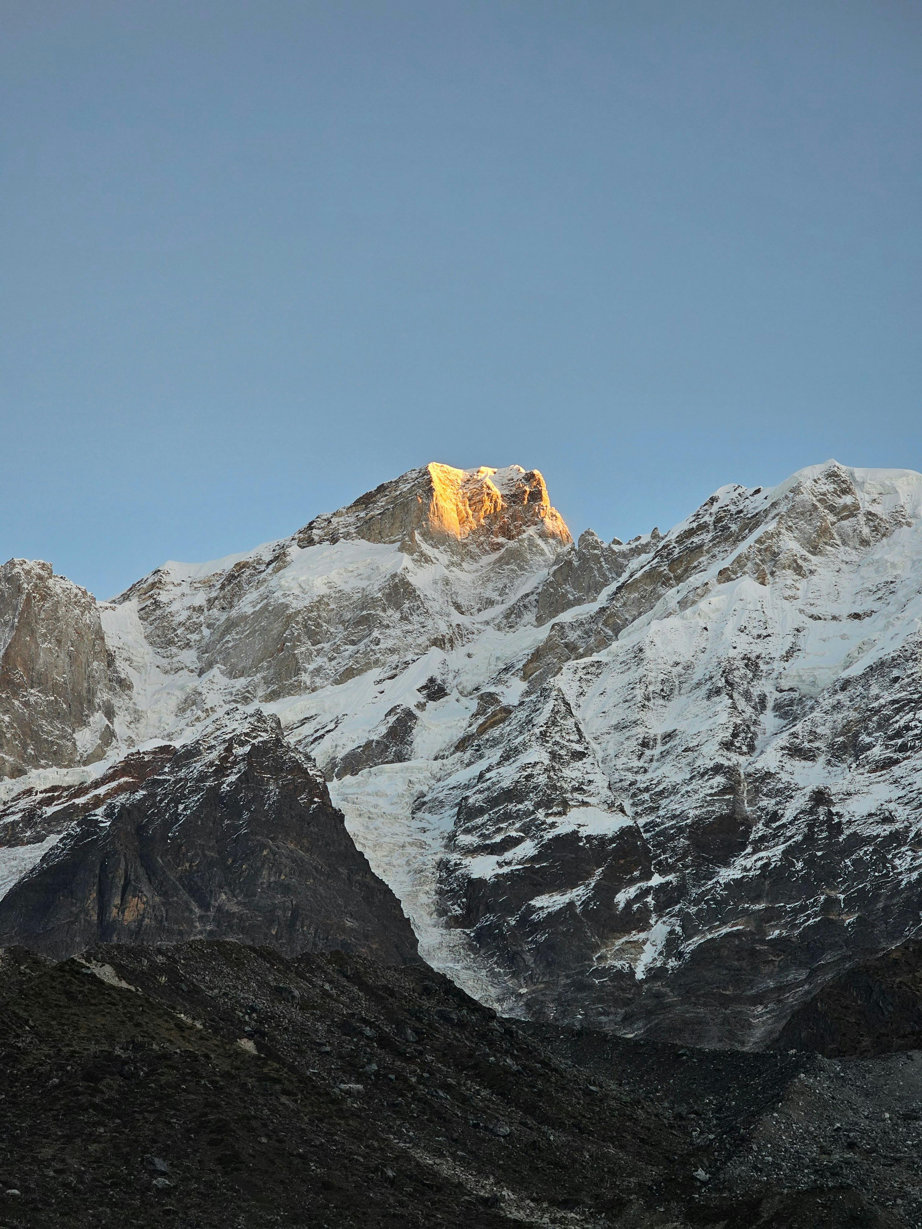 태어난 김에 시즌4